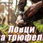 Ловци на трюфели